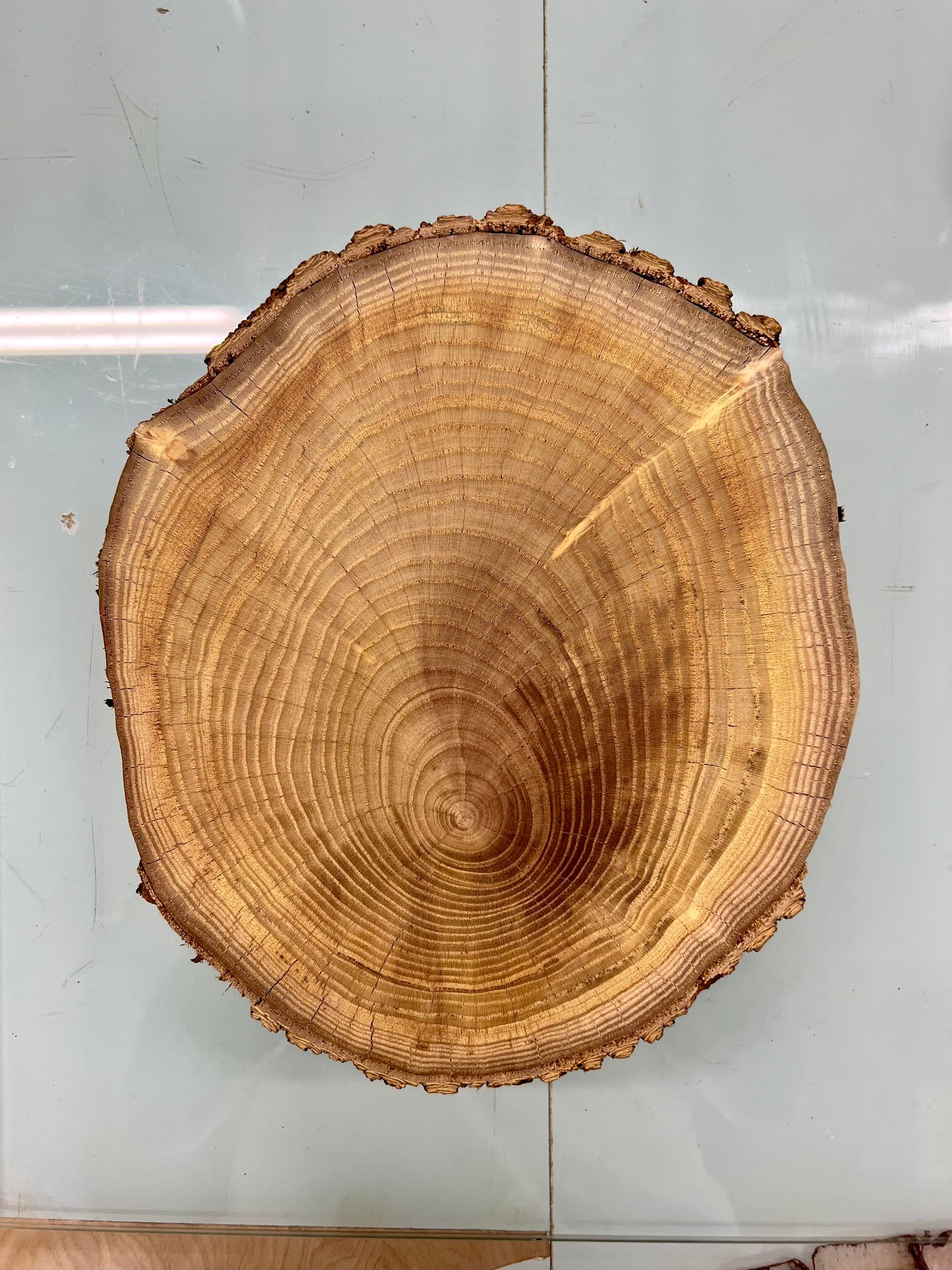 Mulberry #3 Tree Print