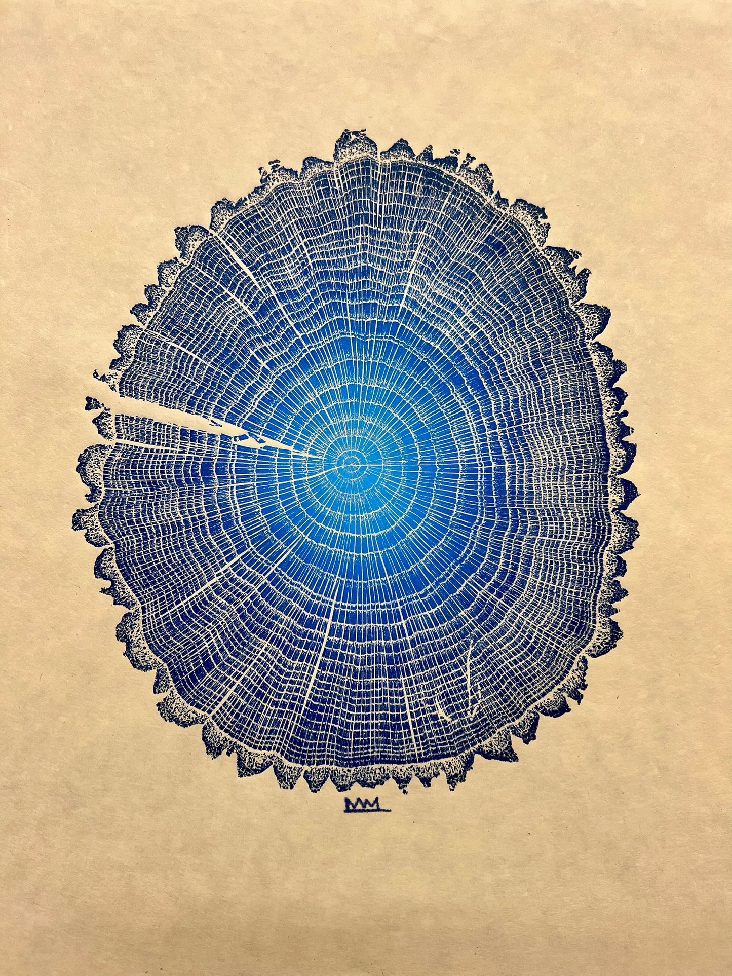 Sawtooth Oak No. 2 Tree Print