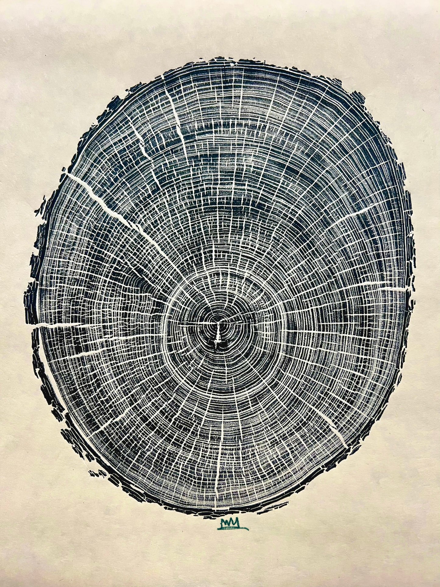 American Elm Tree Print “Casting For Hope”