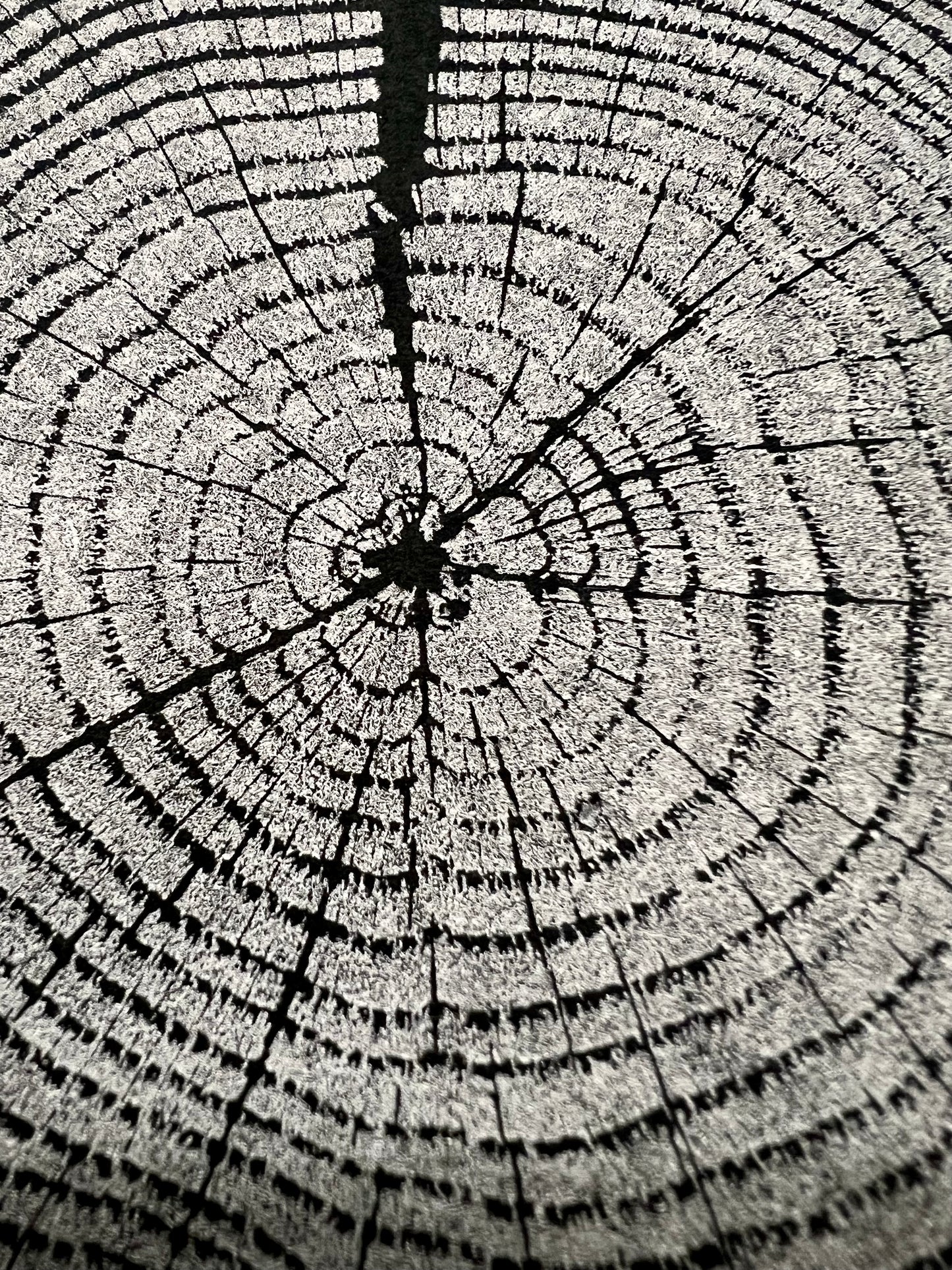 “Ore” Chestnut Oak Tree Print