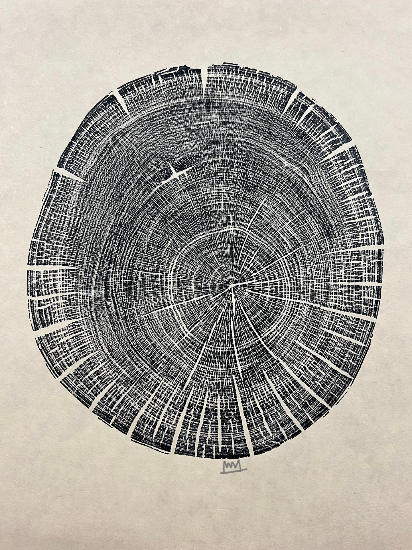Sycamore Day 50 Tree Print