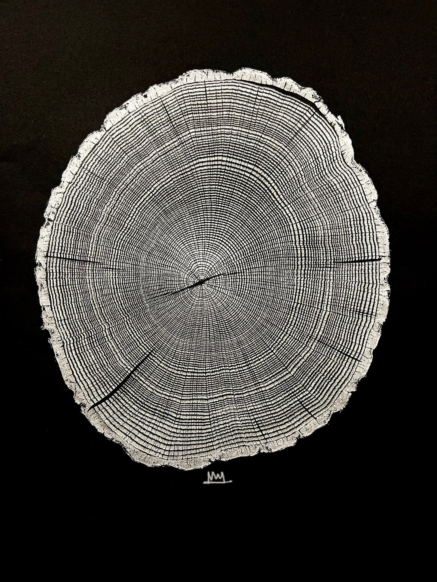 Silver Mountain Oak Tree Print