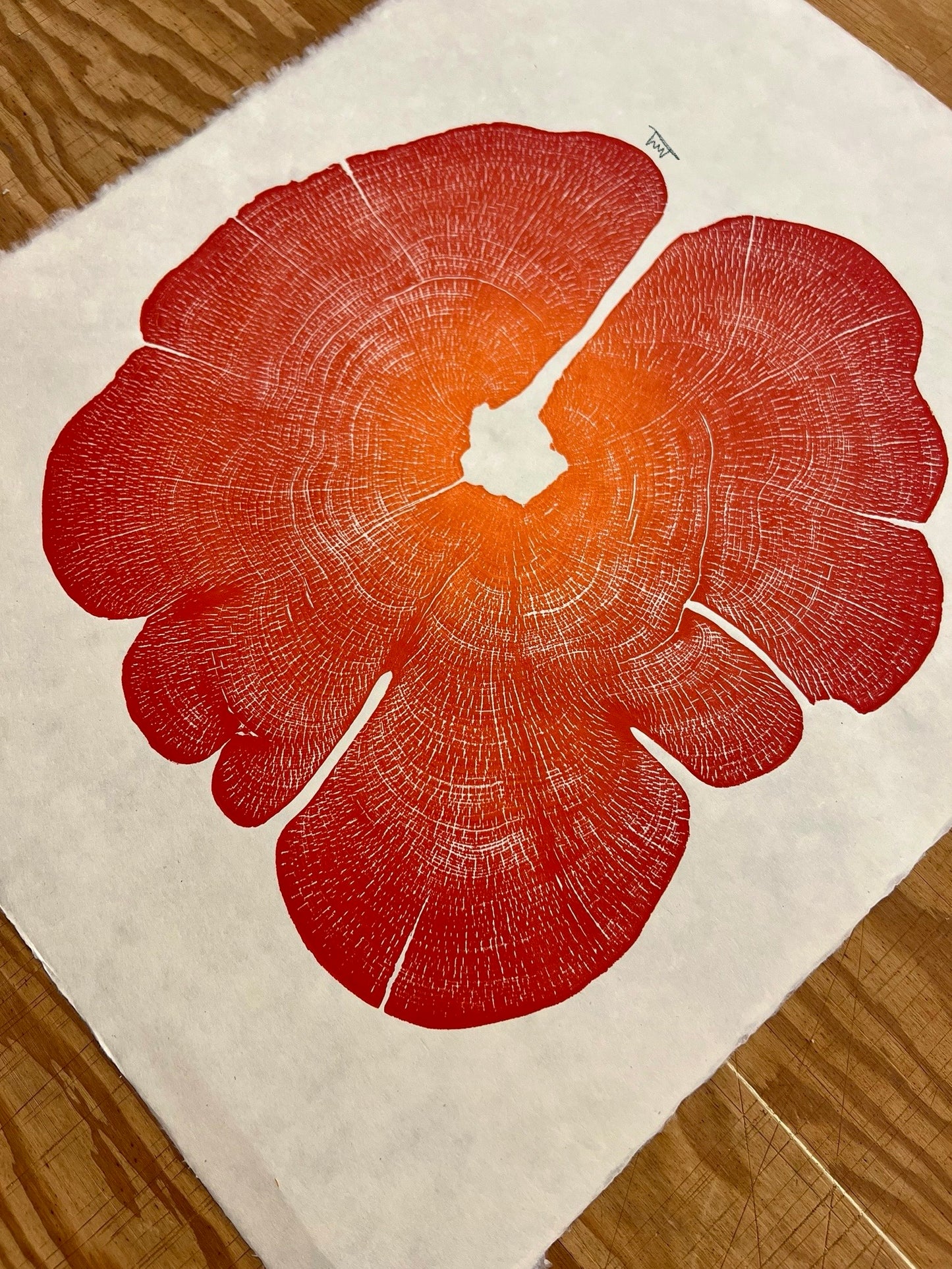 “Glow” ERC No. 68 Tree Print