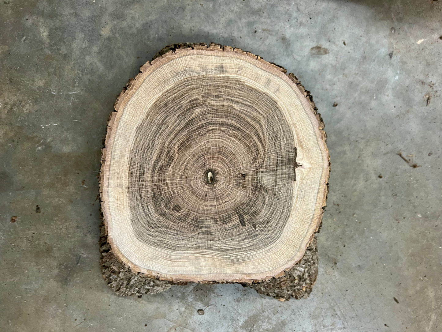 Day 16 “My Heart, My Compass” Post Oak tree prints