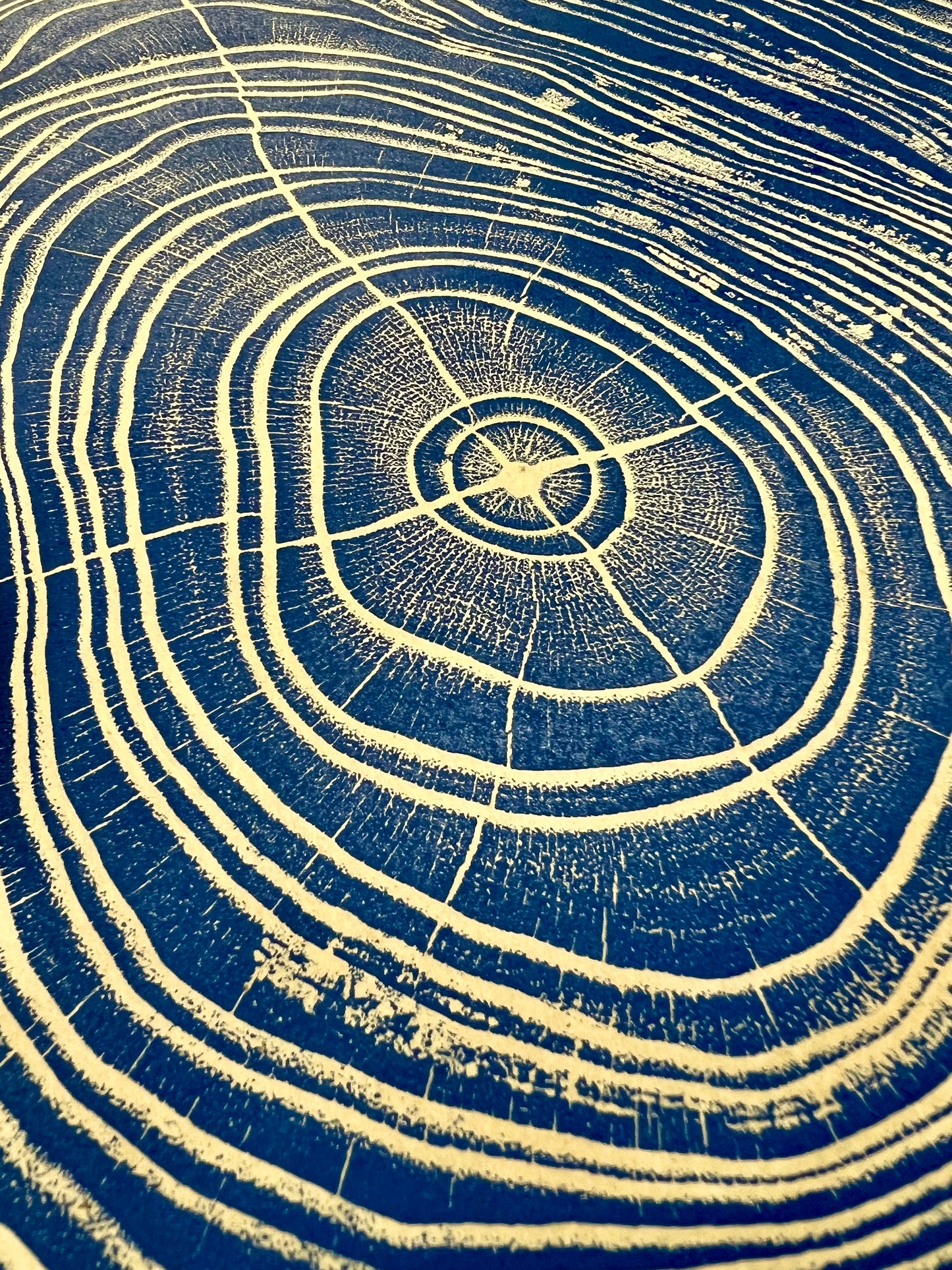 Chinaberry #1 Tree Print