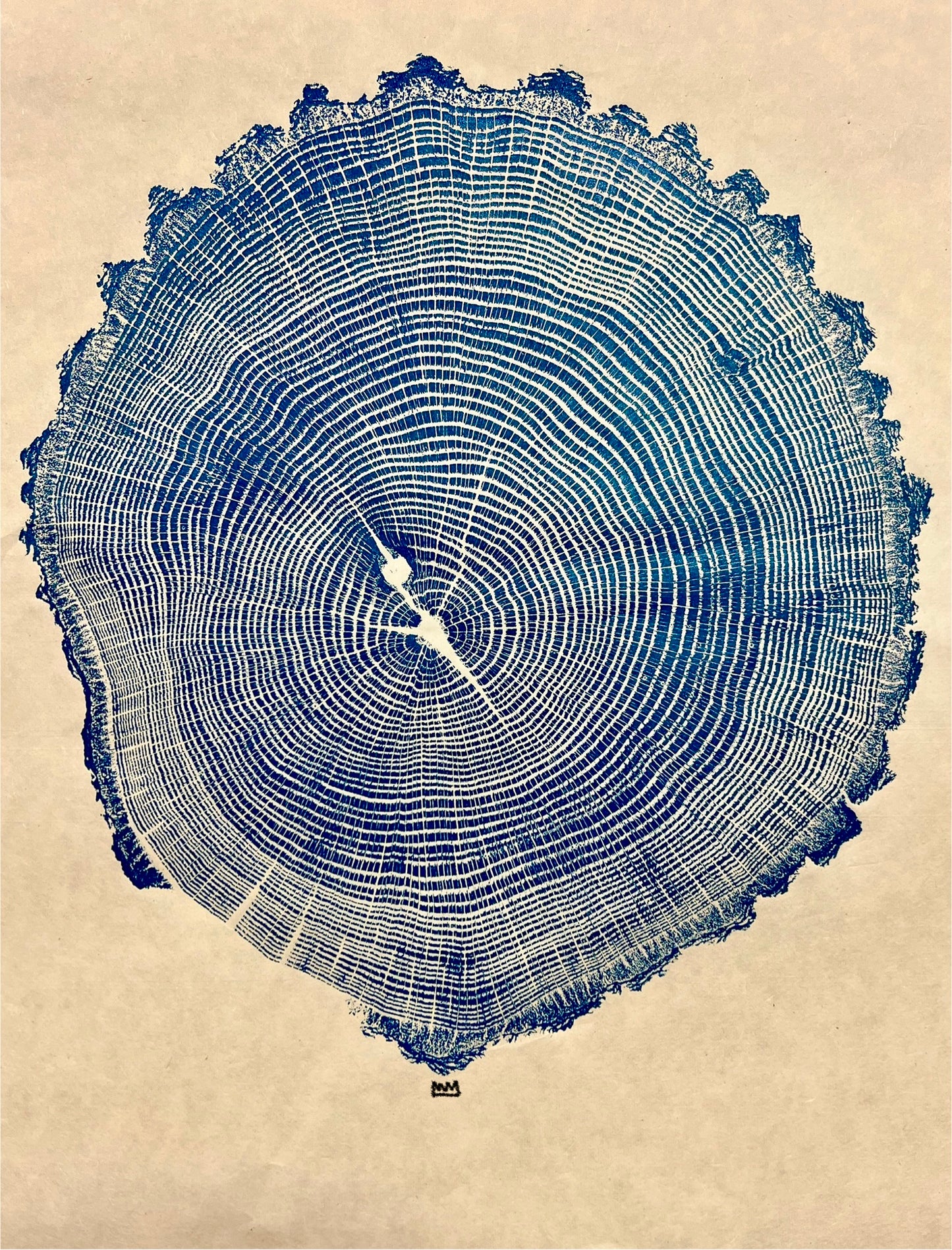 “Seashell” Cherry Bark Oak Tree Print #5