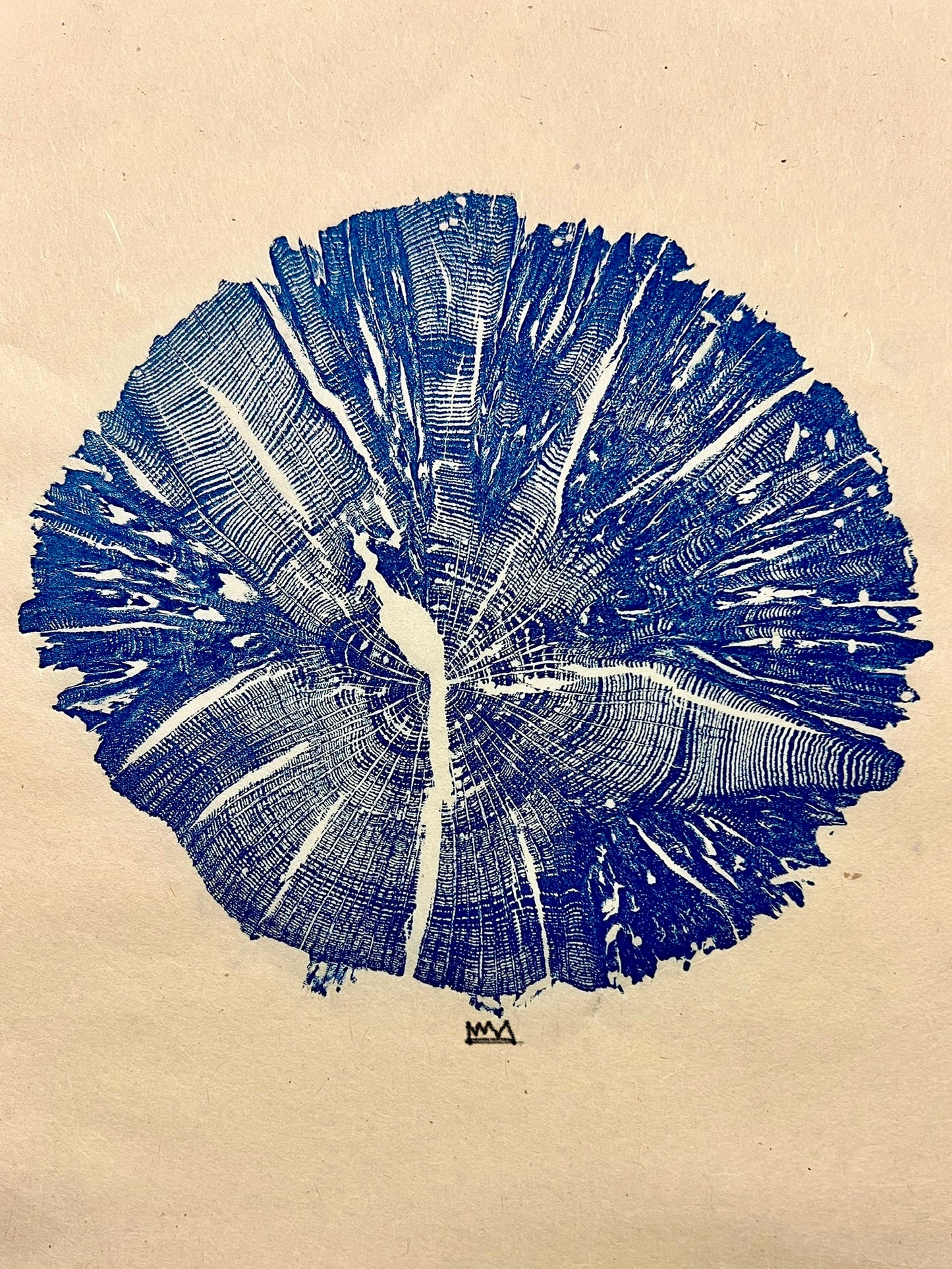 Texas Blue Oak Tree Print (Lacey Oak)