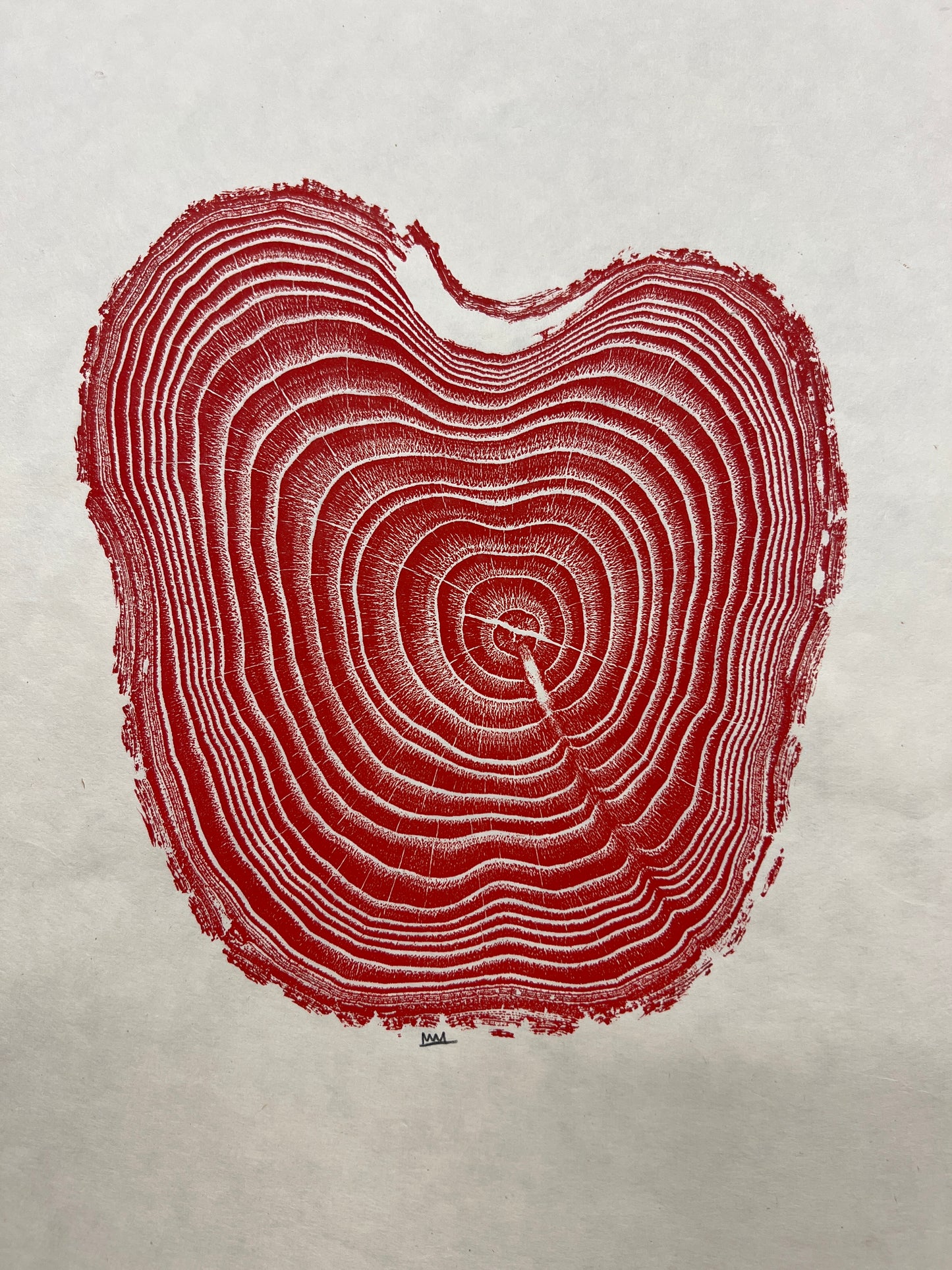 Chinese Chestnut #1 Tree Print