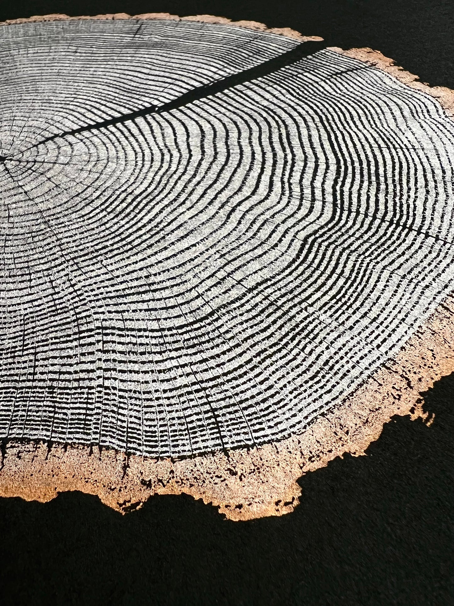 “Ore” Chestnut Oak Tree Print