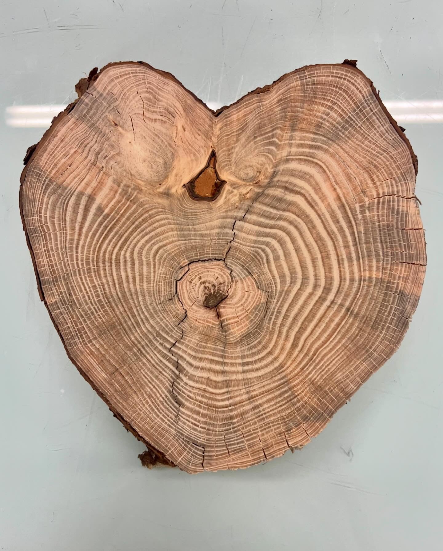 Day 19 Heart Strings