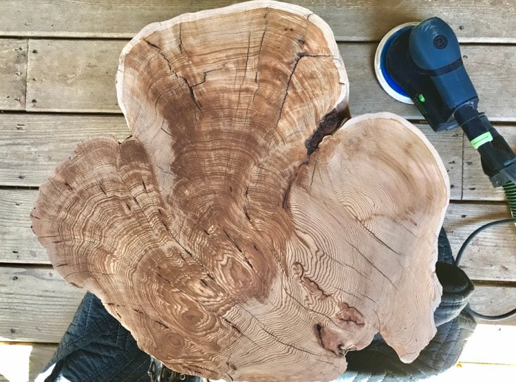 Indigo Western Cedar Tree Print