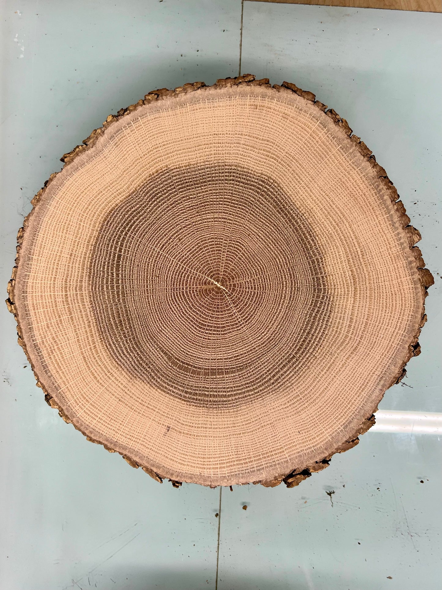 Day 9 Limited Post Oak