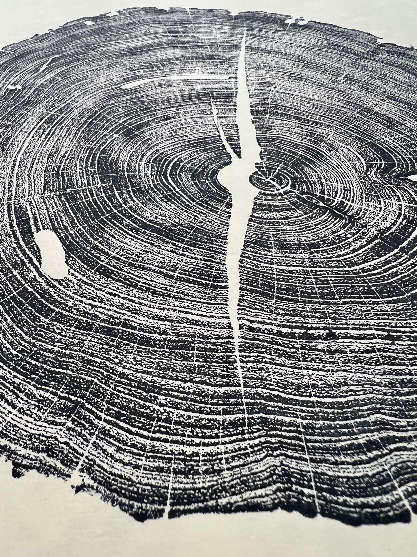 Honey Mesquite Tree Print