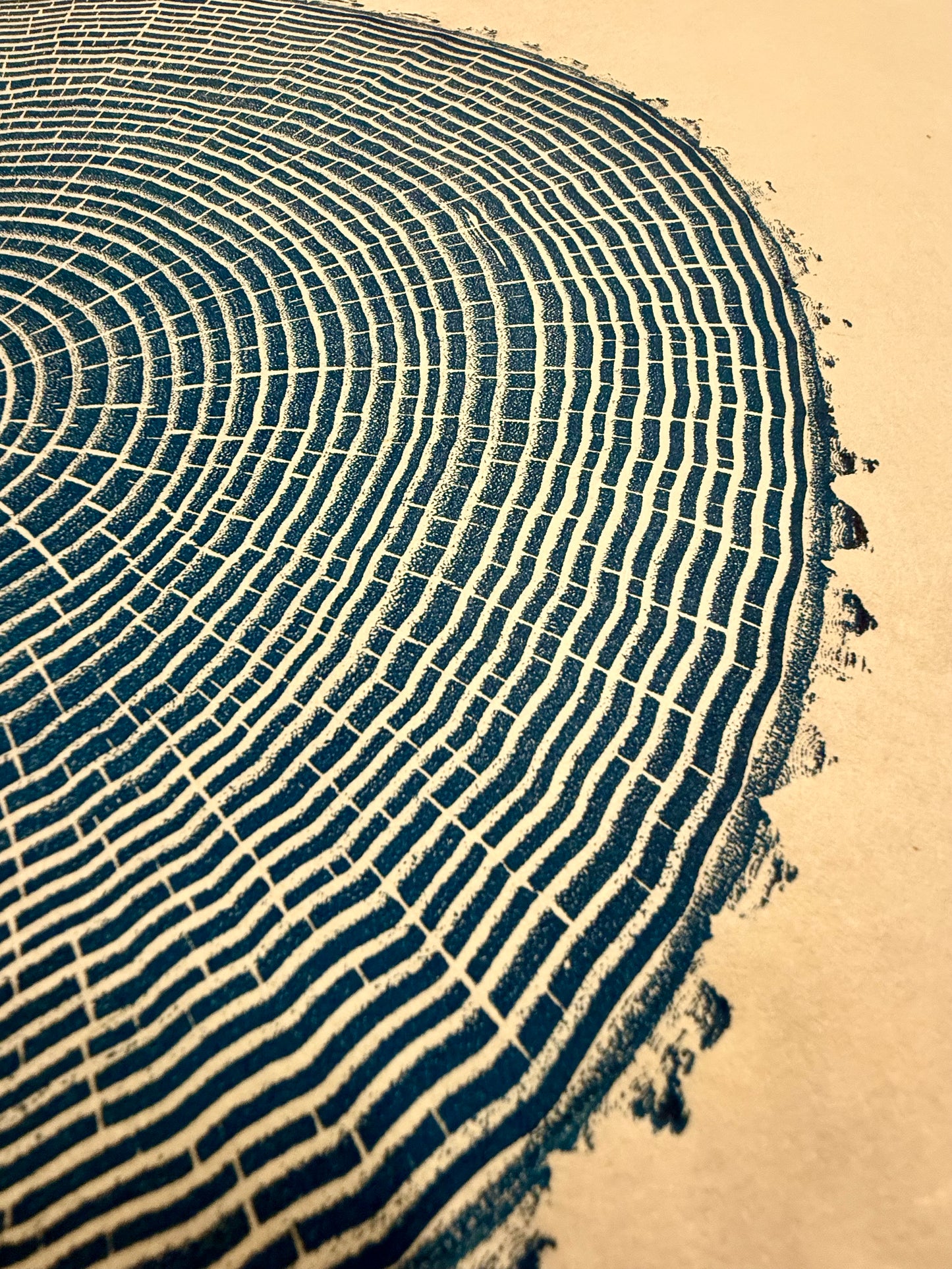 “Green Ash from Maine” tree print