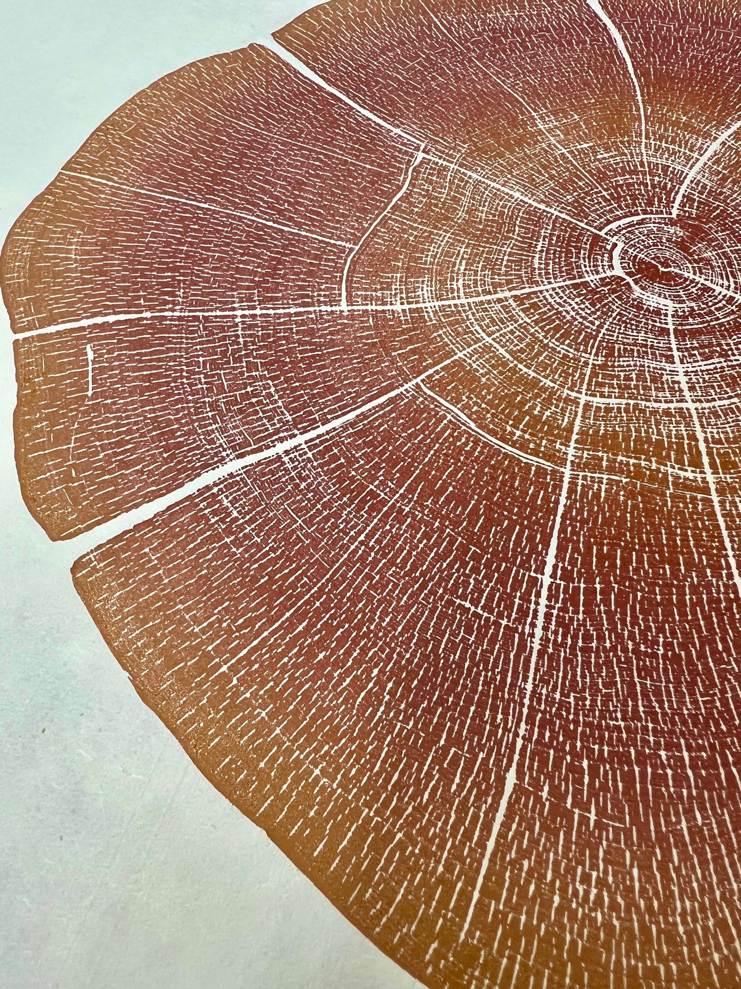 Apricot Sunset Eastern Red Cedar # 35 tree print