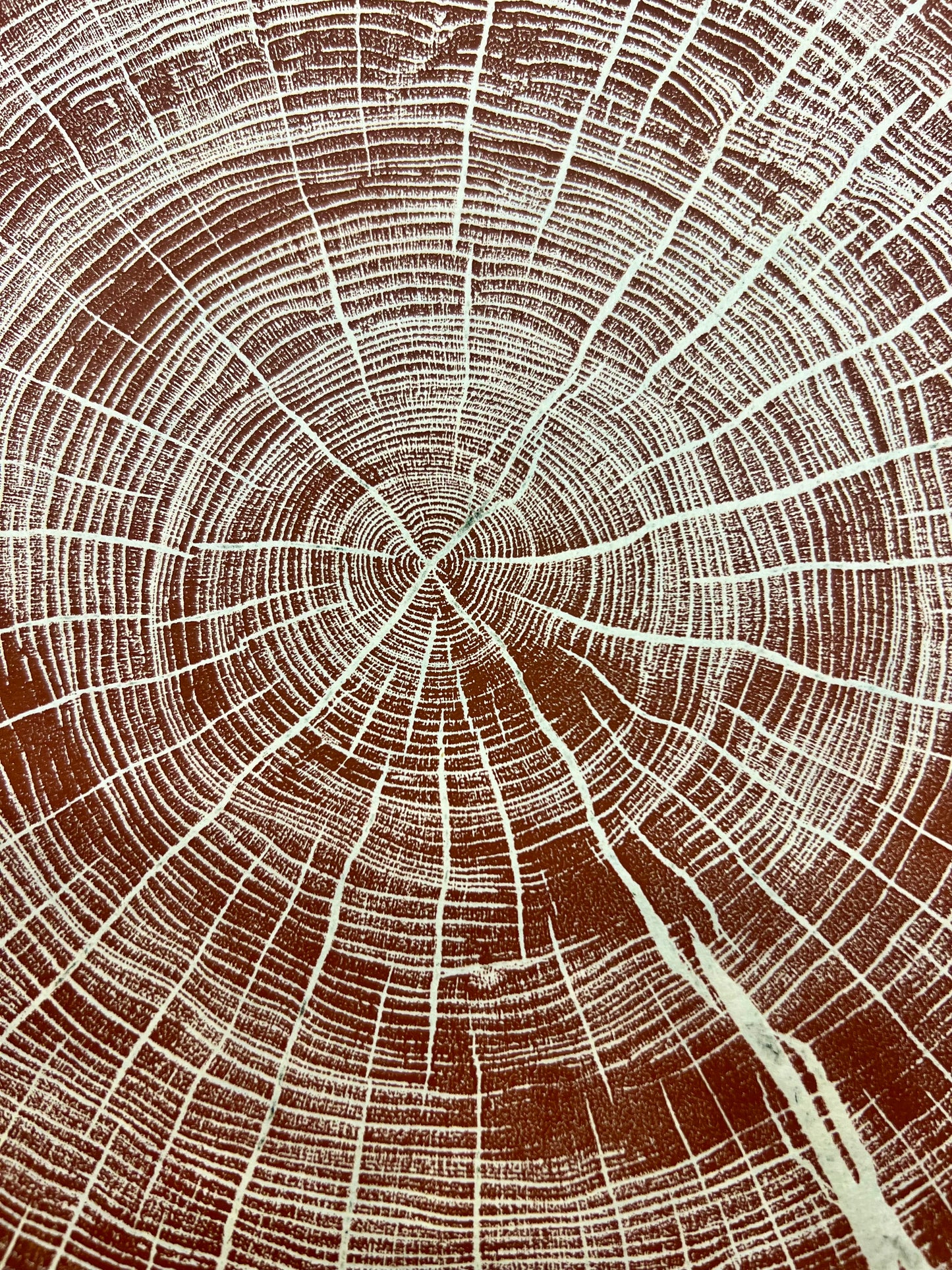 Escarpment Black Cherry Tree Print Texas Series