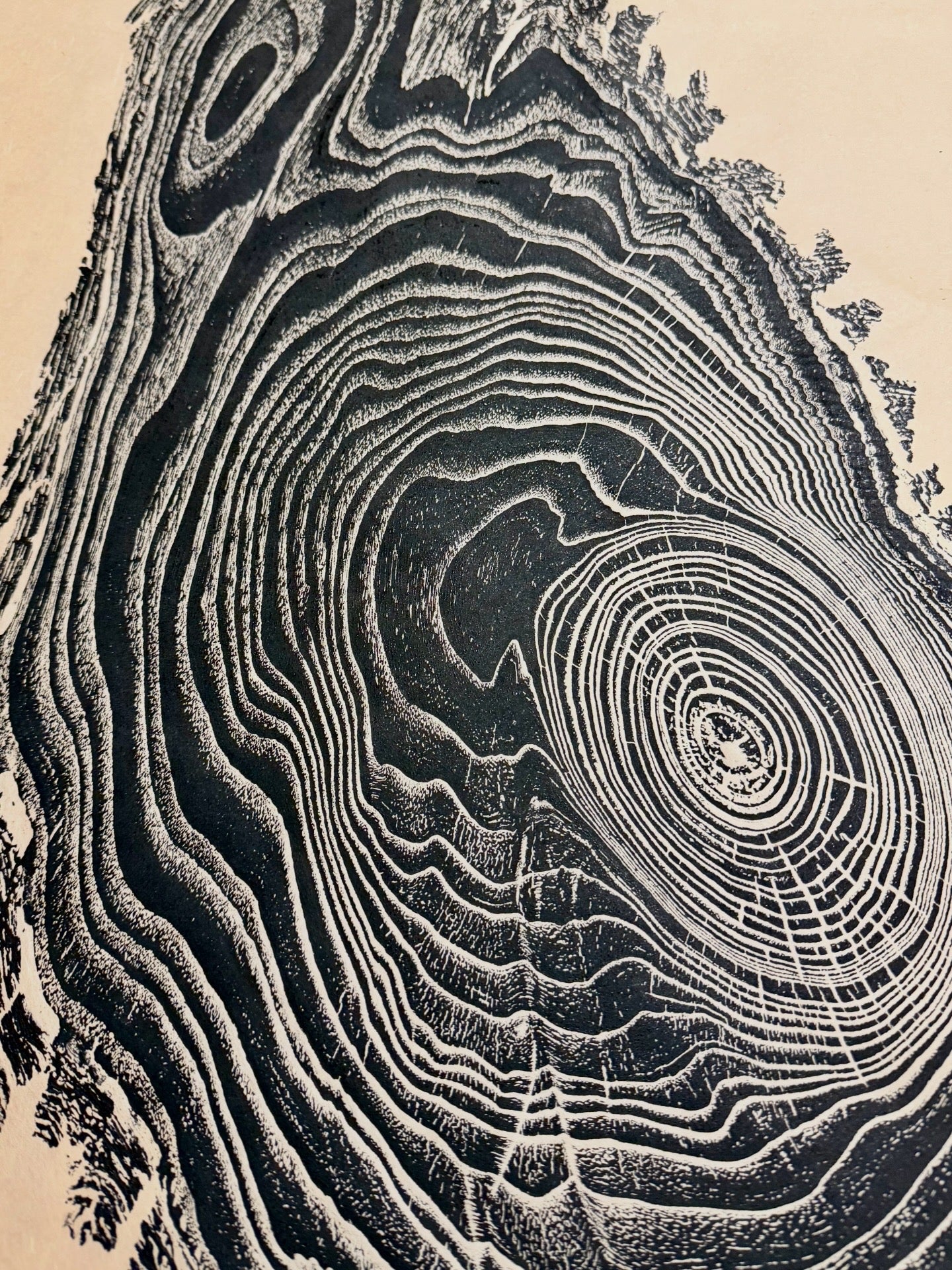“Comet” Chinaberry Tree Print
