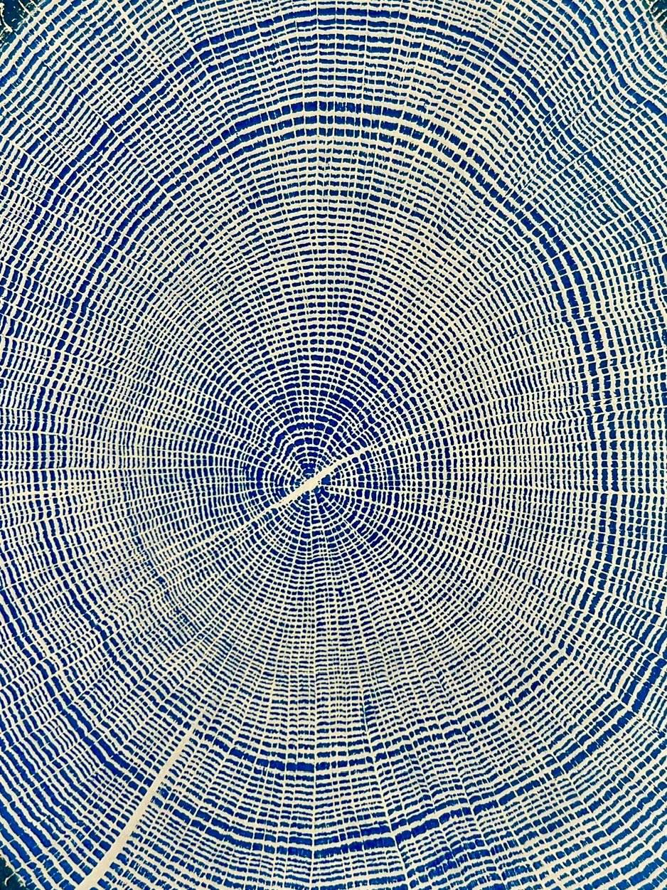 Mountain Oak #3 Tree Print