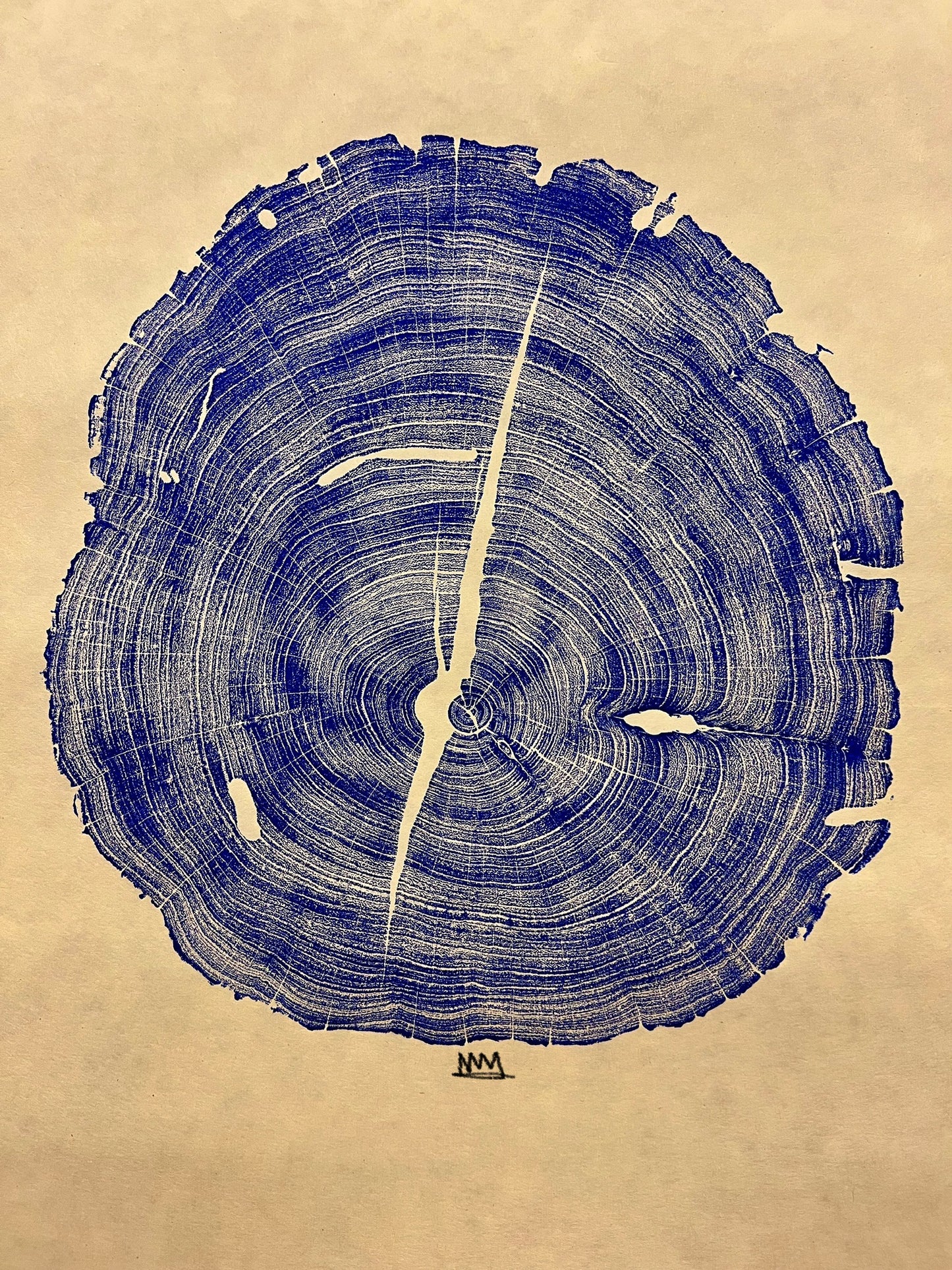 Honey Mesquite Tree Print