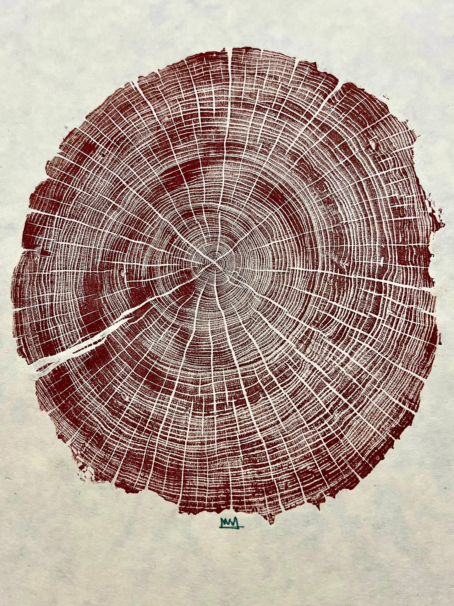 Escarpment Black Cherry Tree Print Texas Series