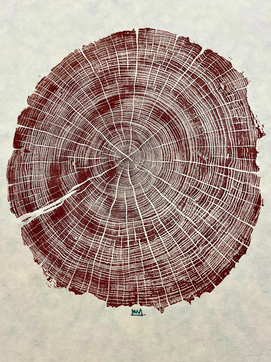 Escarpment Black Cherry Tree Print Texas Series
