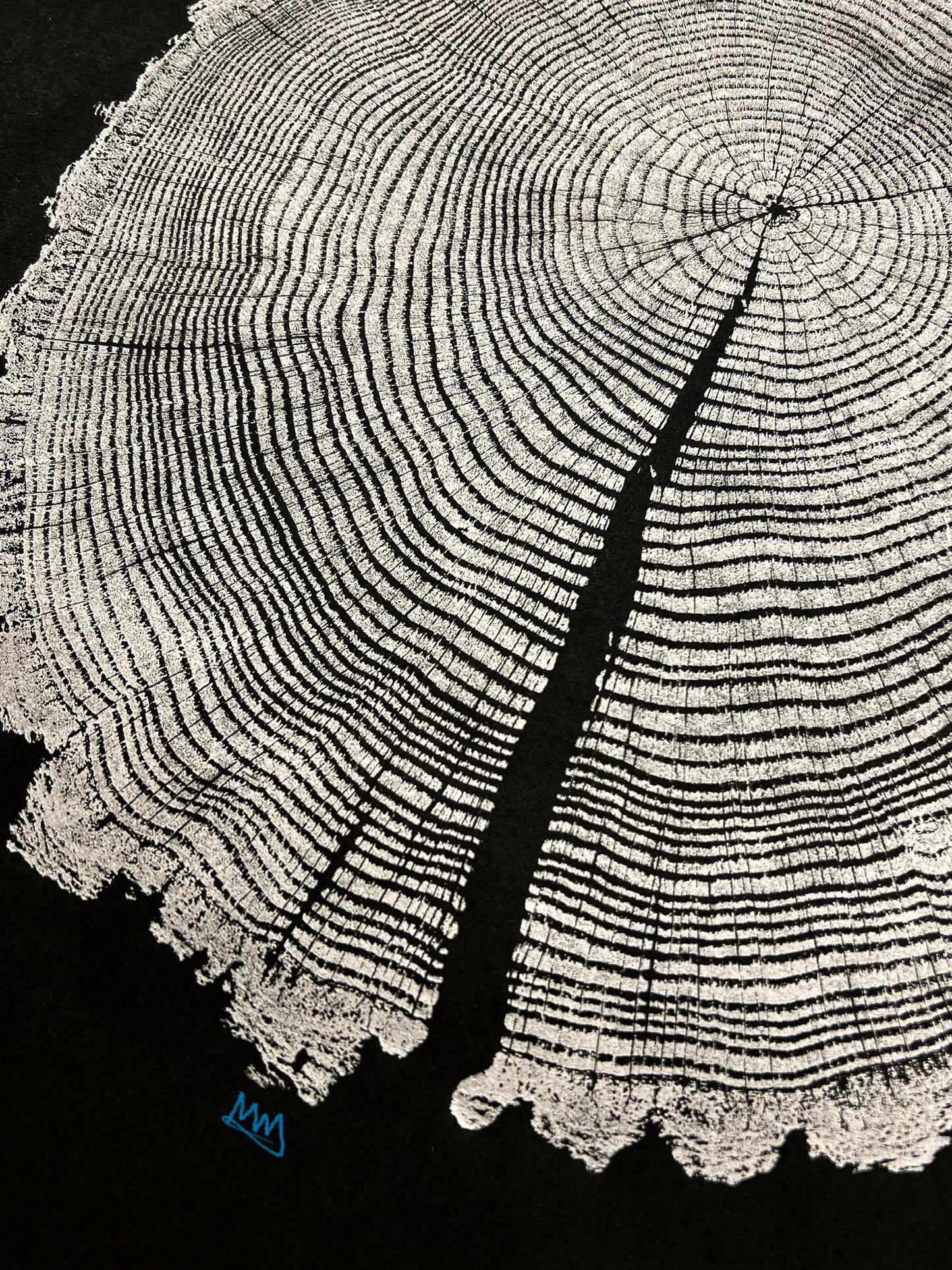 “Silver Drip” Chestnut Oak Tree Print