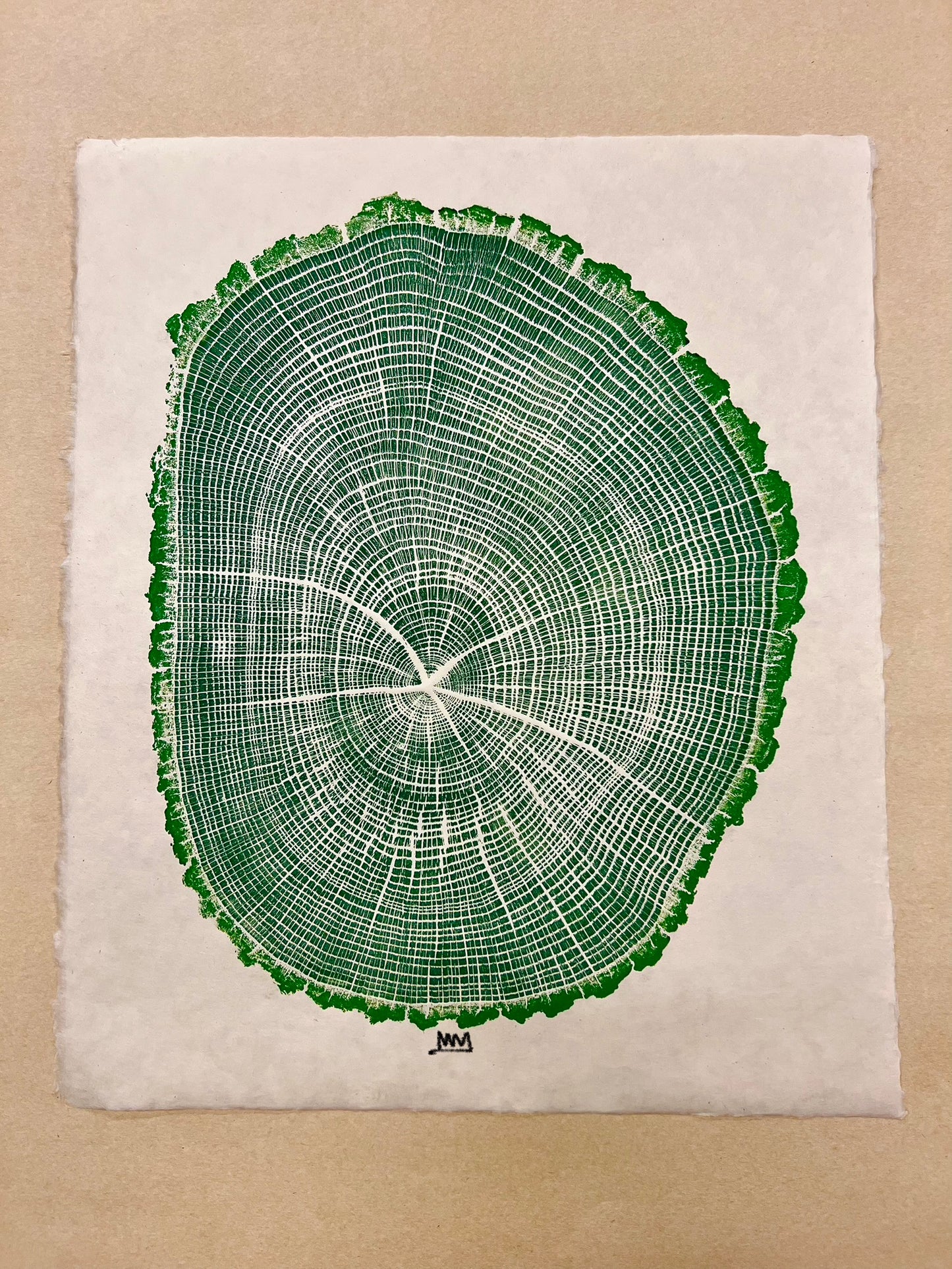 “Flat Spot” White Oak Tree Print