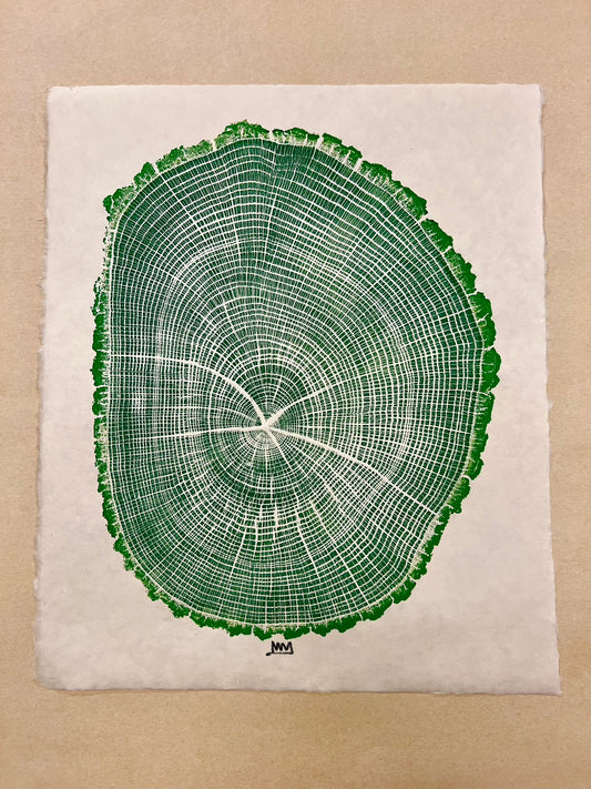 “Flat Spot” White Oak Tree Print