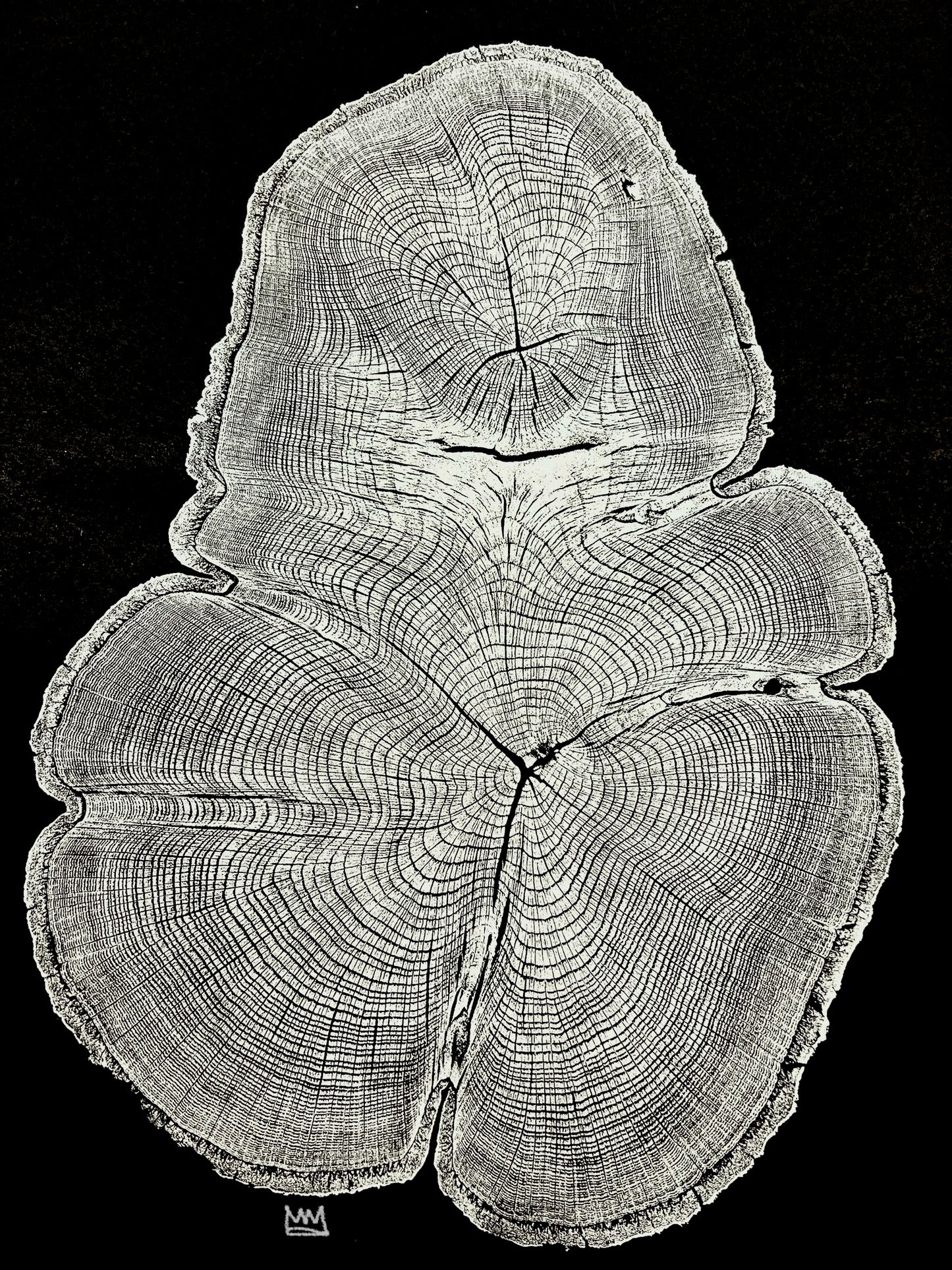 “Silver Water Oak” Tree Print