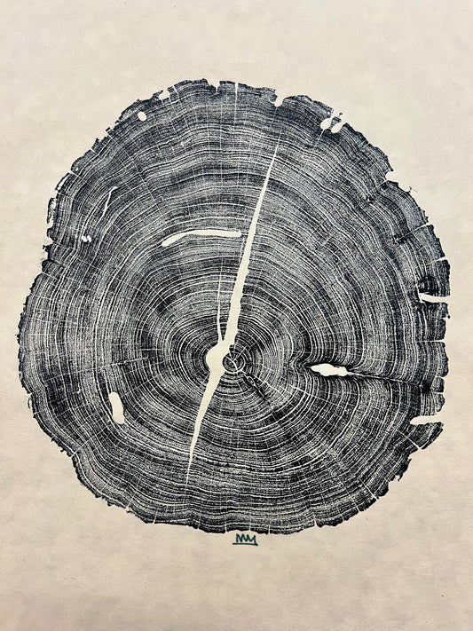 Honey Mesquite Tree Print