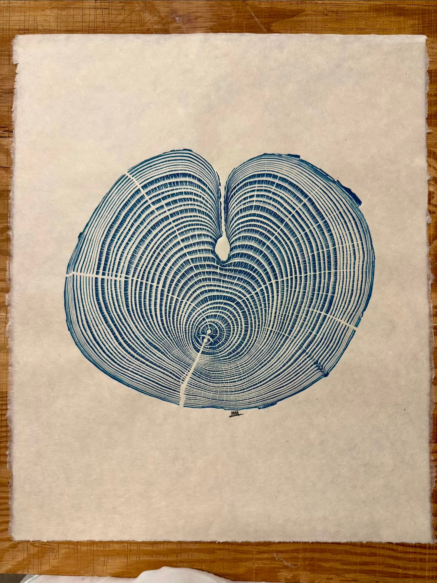 “Russian Olive” Tree Print