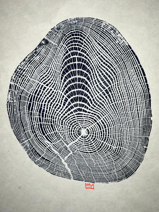 Apex Sassafras Tree Print