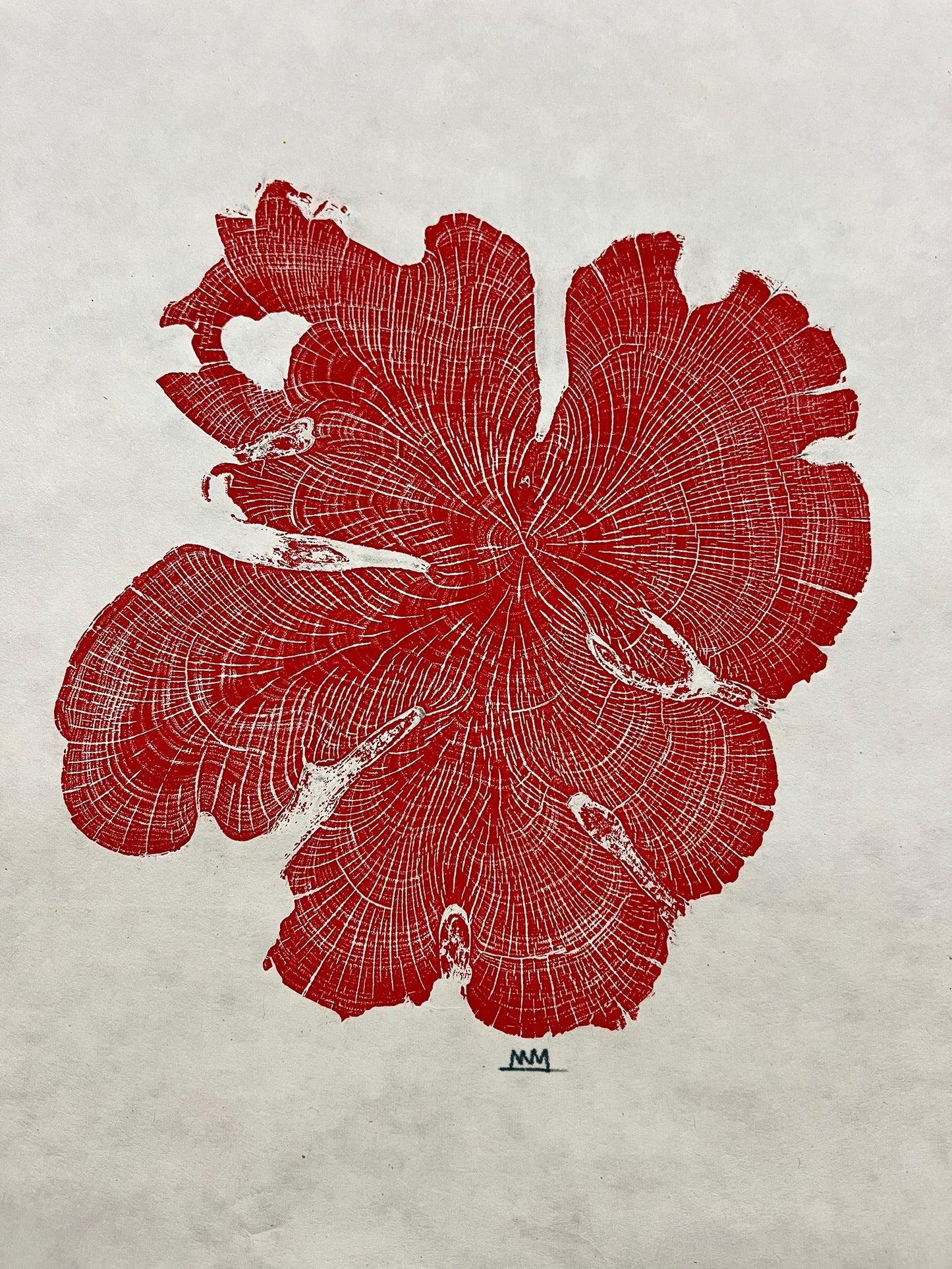 Ashe Juniper No. 1 Tree Print