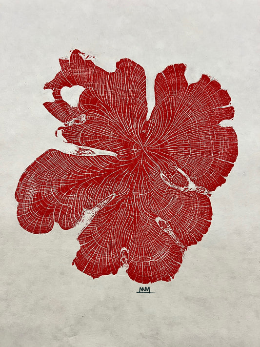 Ashe Juniper No. 1 Tree Print