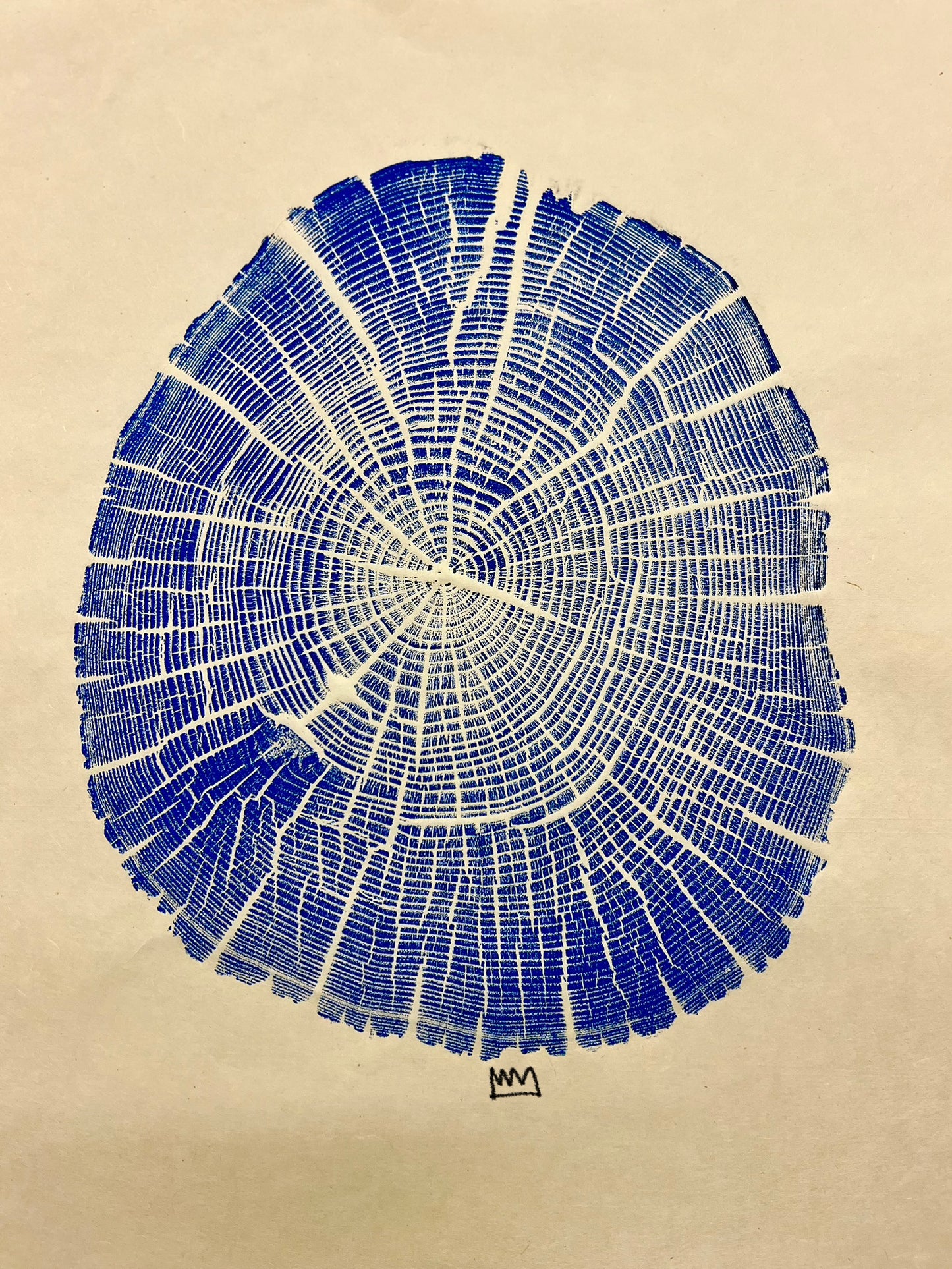 “Fissures” Black Locust Tree Print
