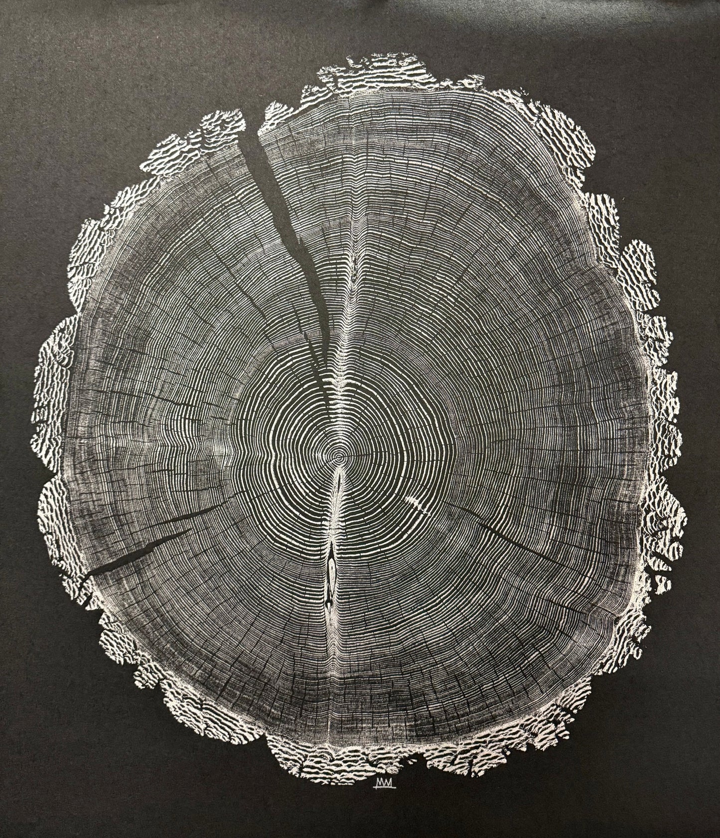 “Beautiful Bark” Douglas Fir Tree Print