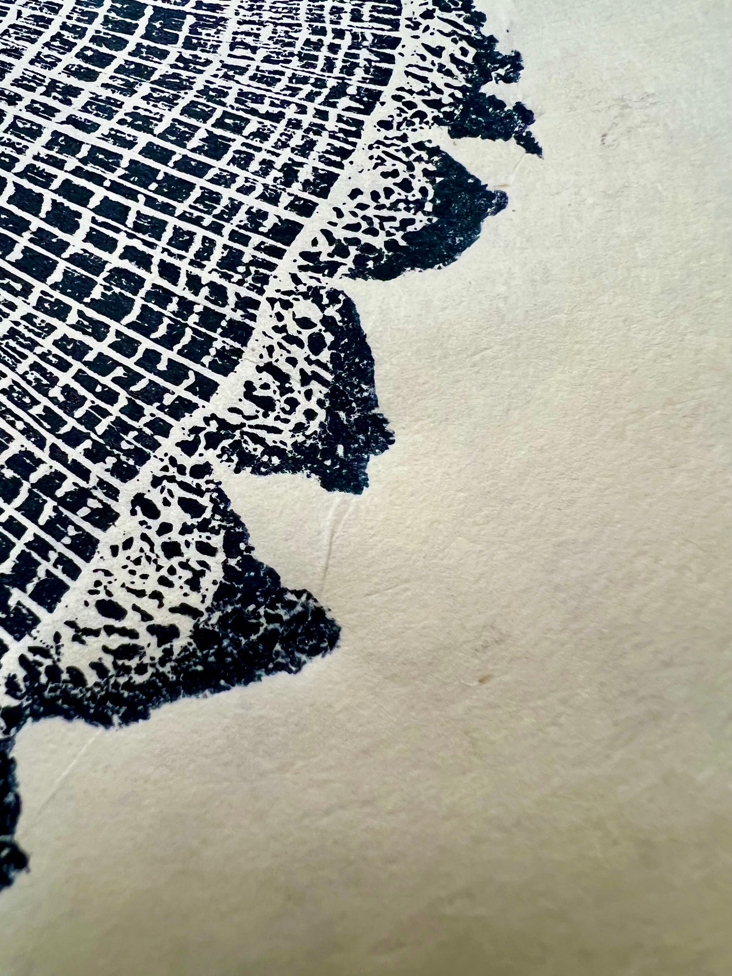 Sawtooth Oak #1 Tree Print