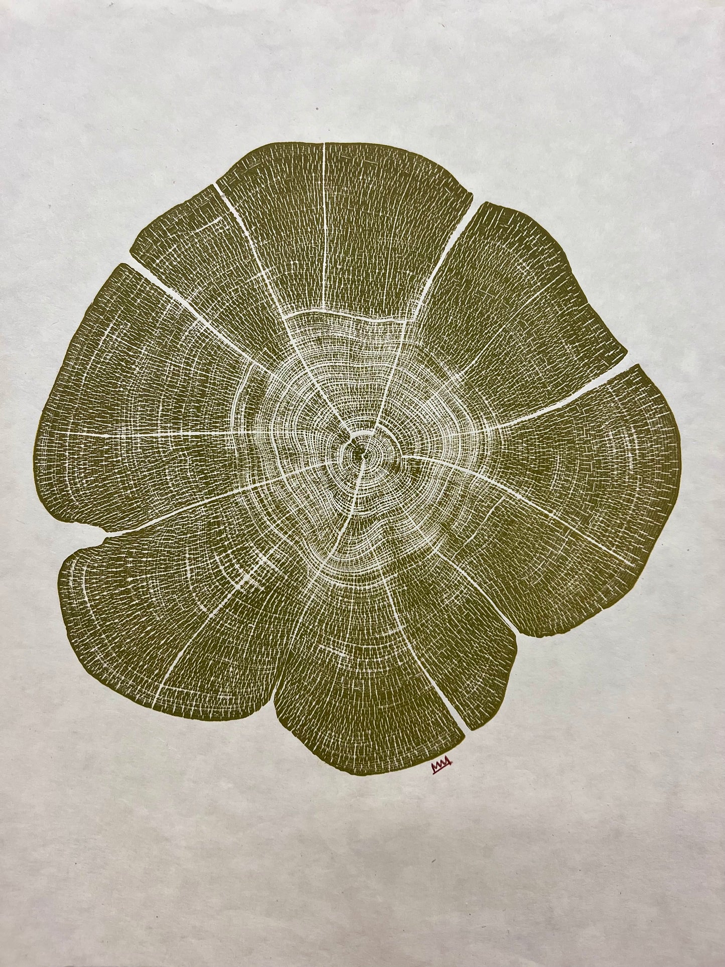 “Lily Pad” Eastern Red Cedar #33 Tree Print