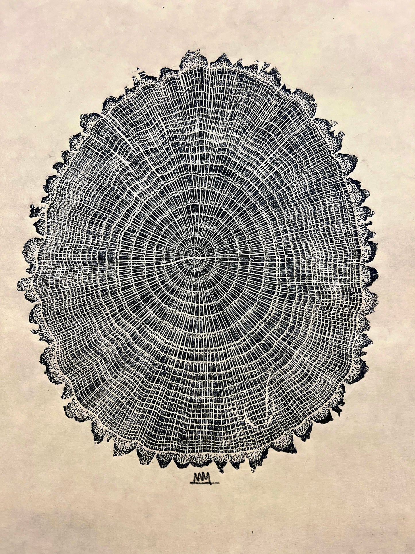 Sawtooth Oak #1 Tree Print