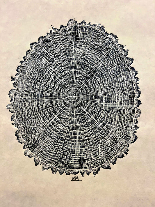 Sawtooth Oak #1 Tree Print