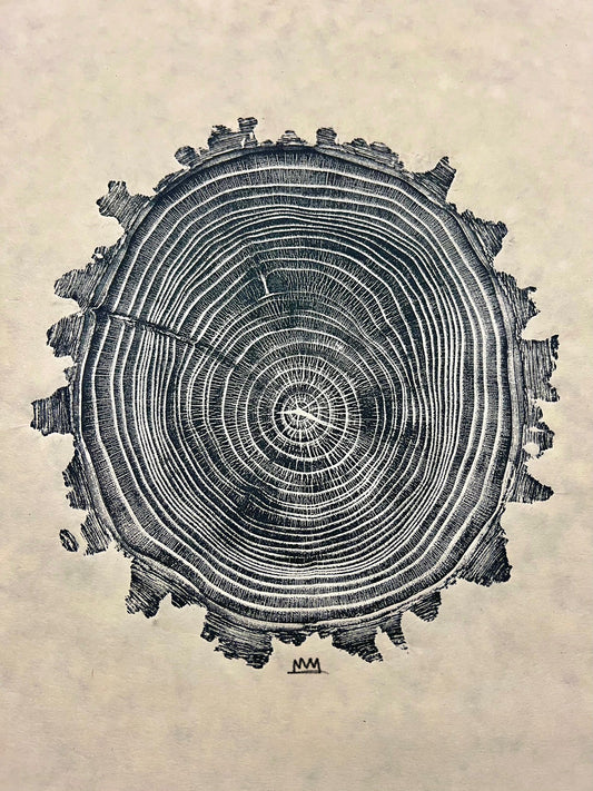 Black Locust No. 22 (Helene)