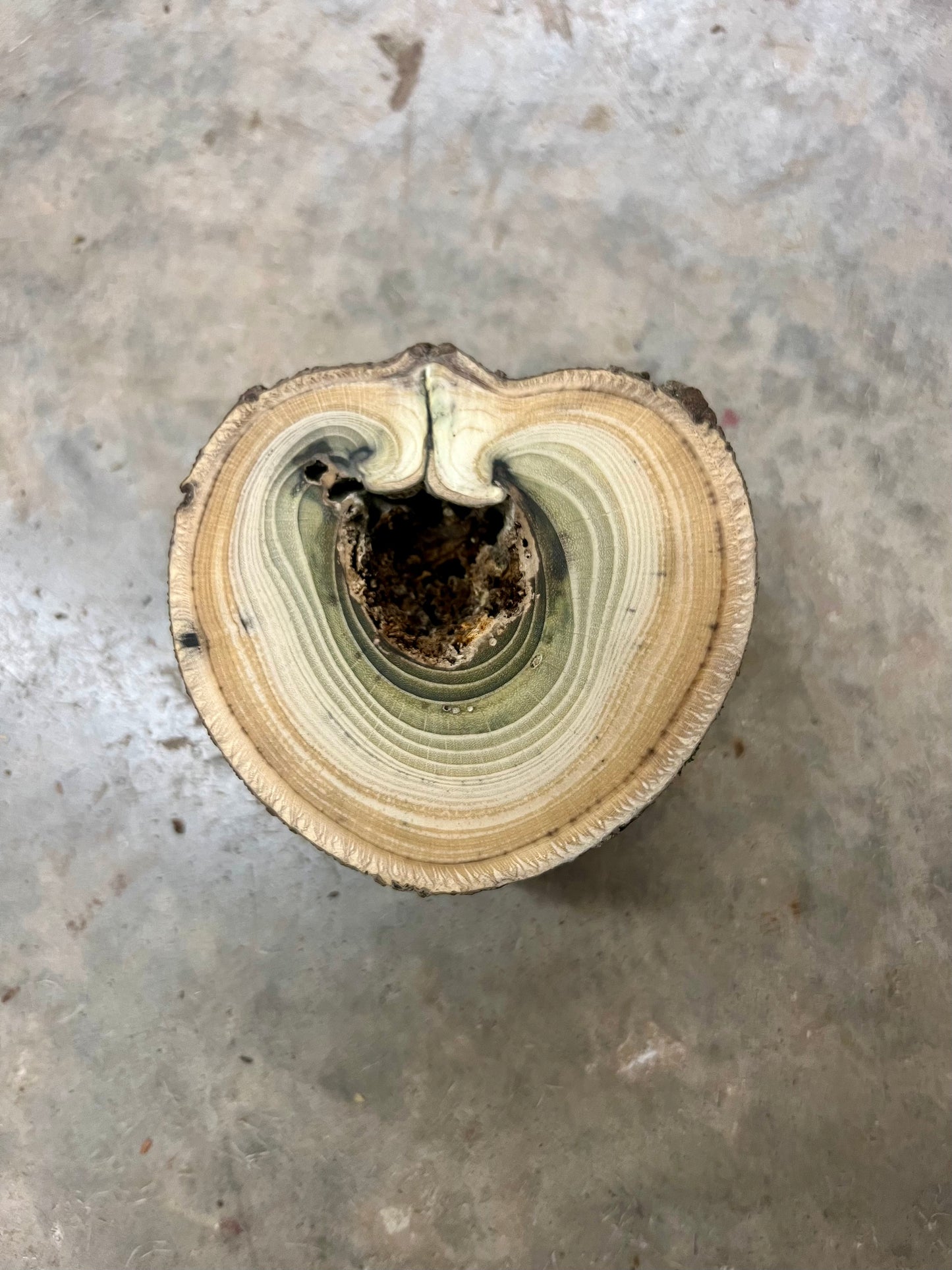 Pawpaw #1 Tree Print