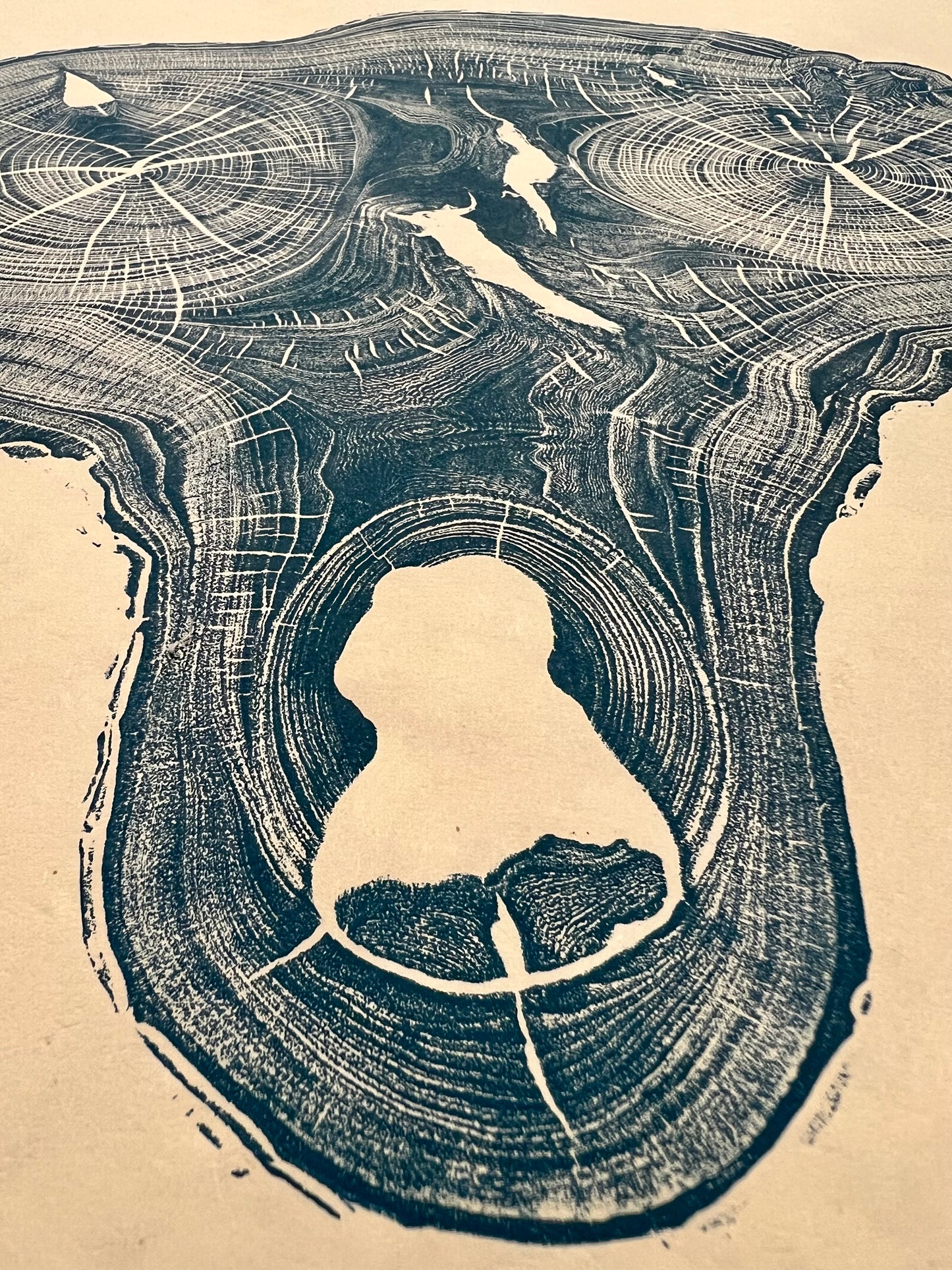 “Screaming Elm” Tree Print