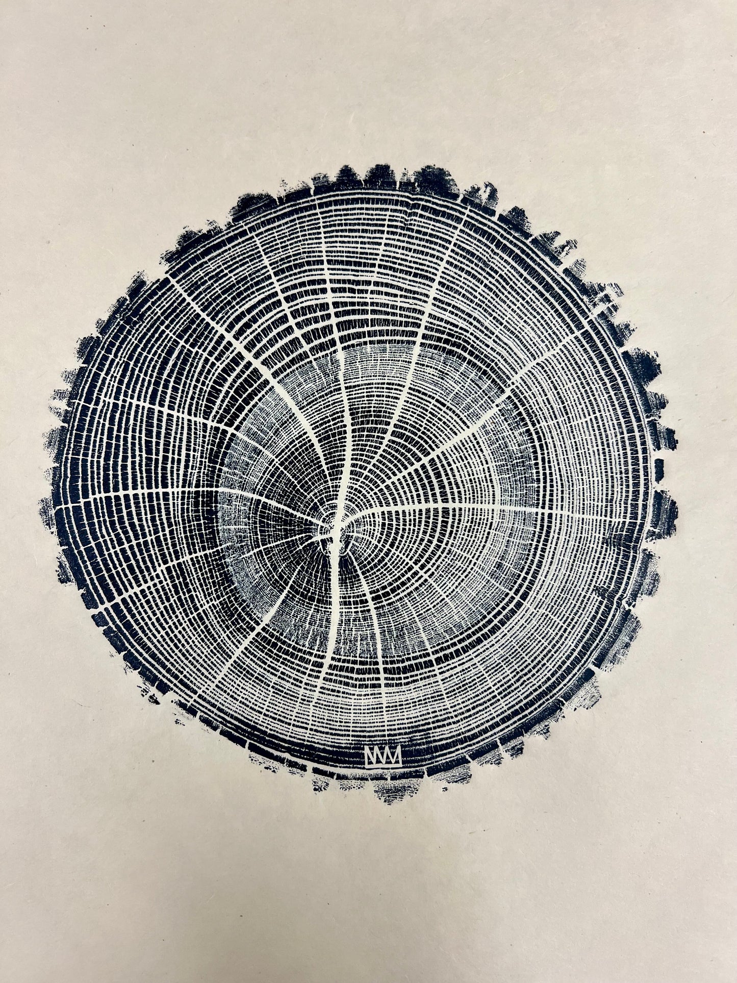 American Elm Tree Print