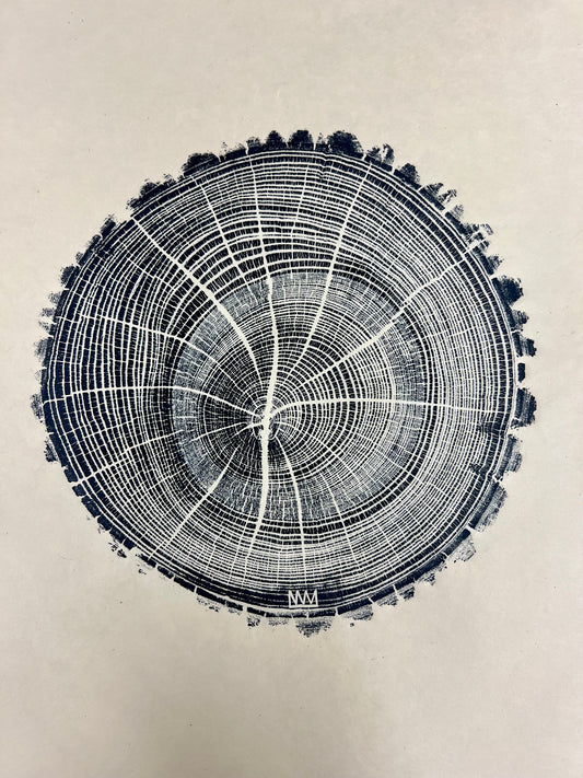 American Elm Tree Print