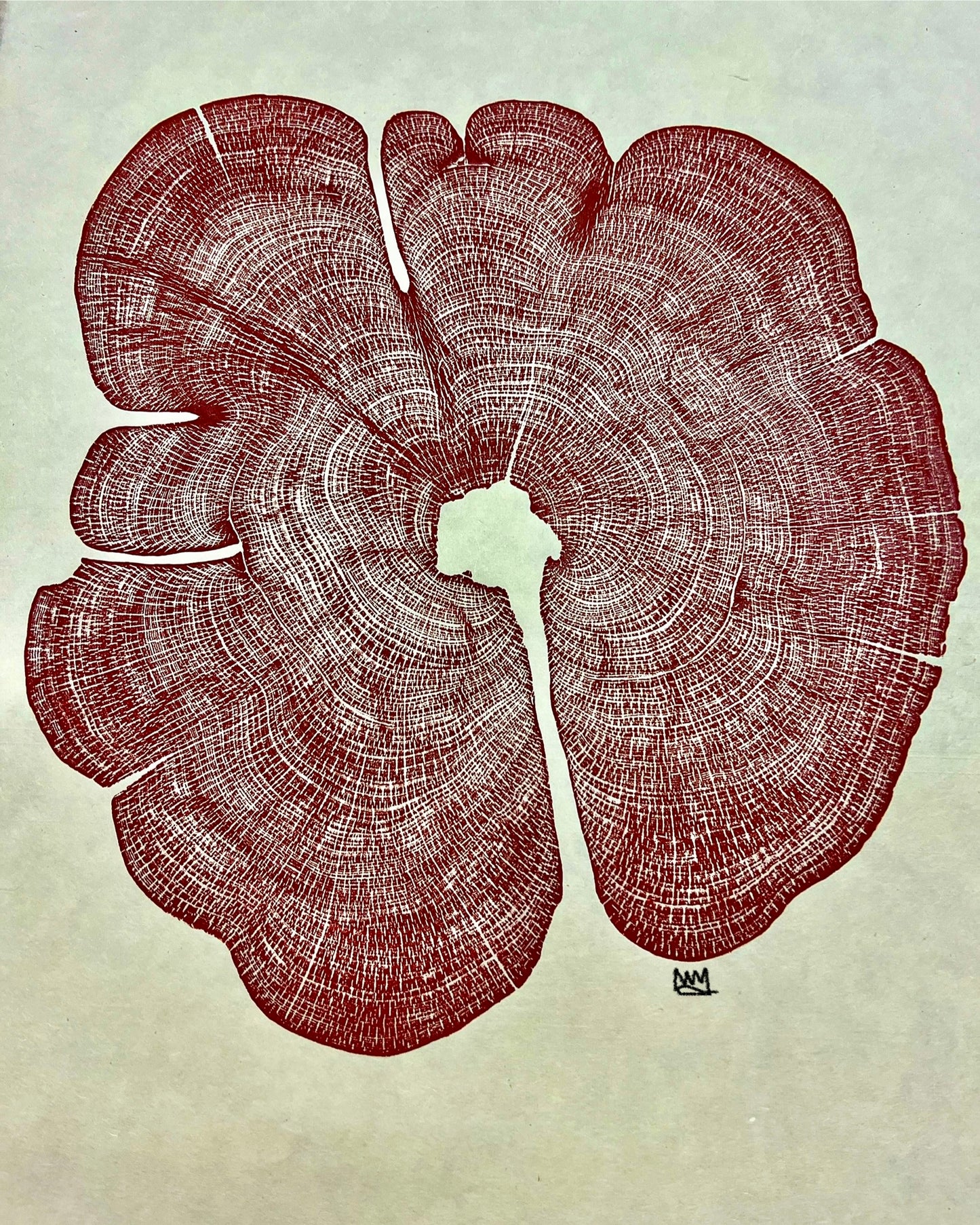Eastern Red Cedar No. 63 Tree Print