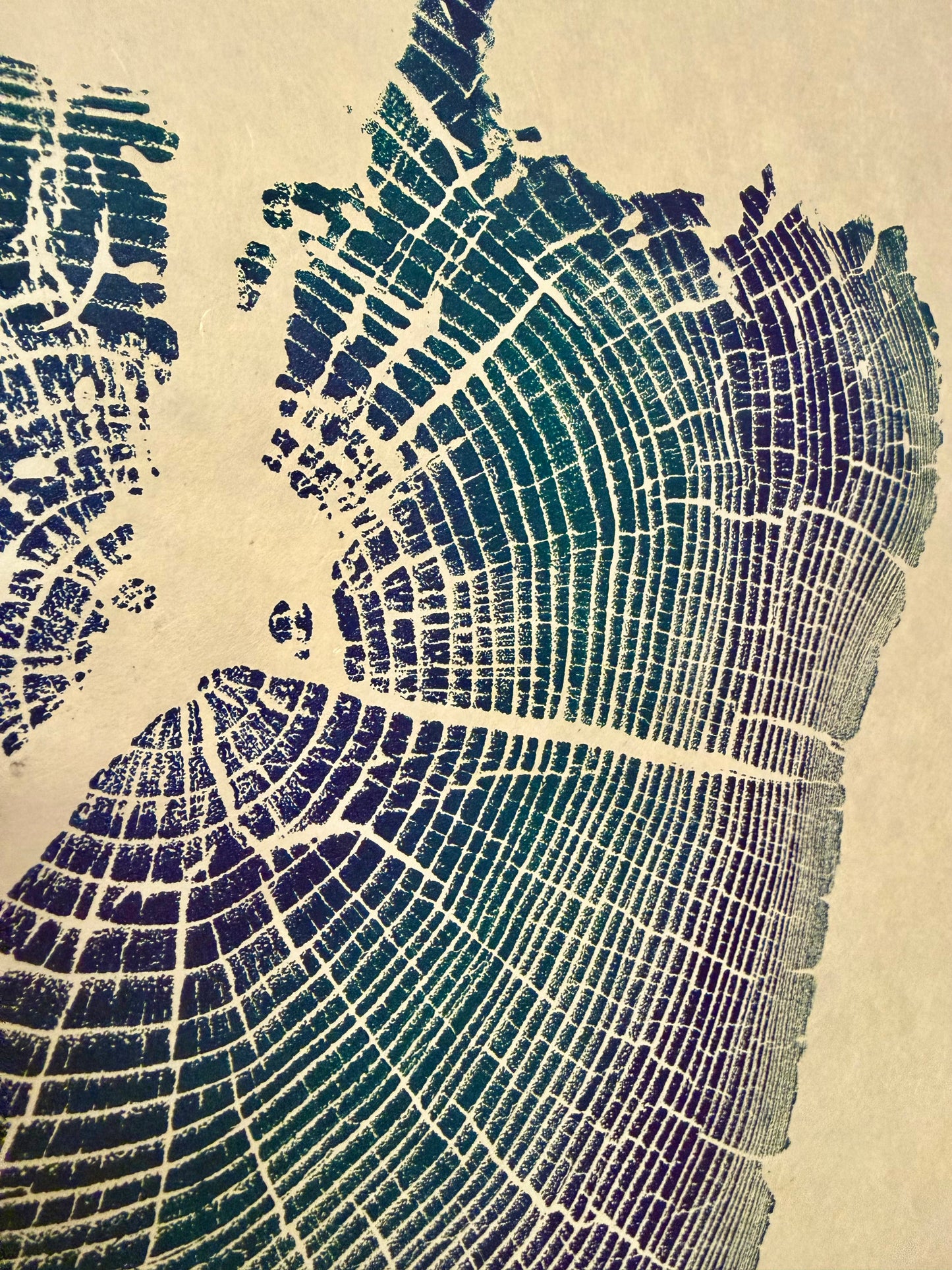 Day 9 “Elemental Forces” Black Locust Tree Print (3 exist)