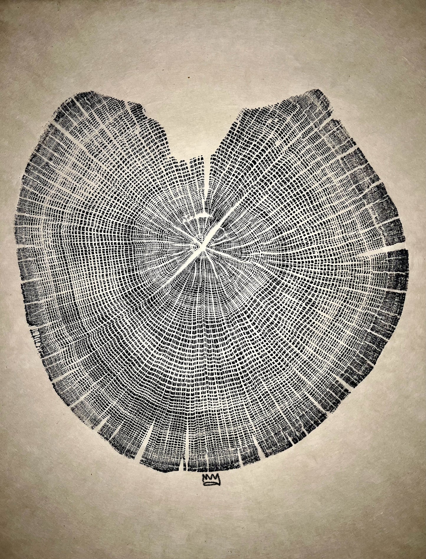Appalachian Red Oak