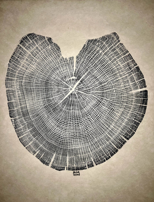Appalachian Red Oak