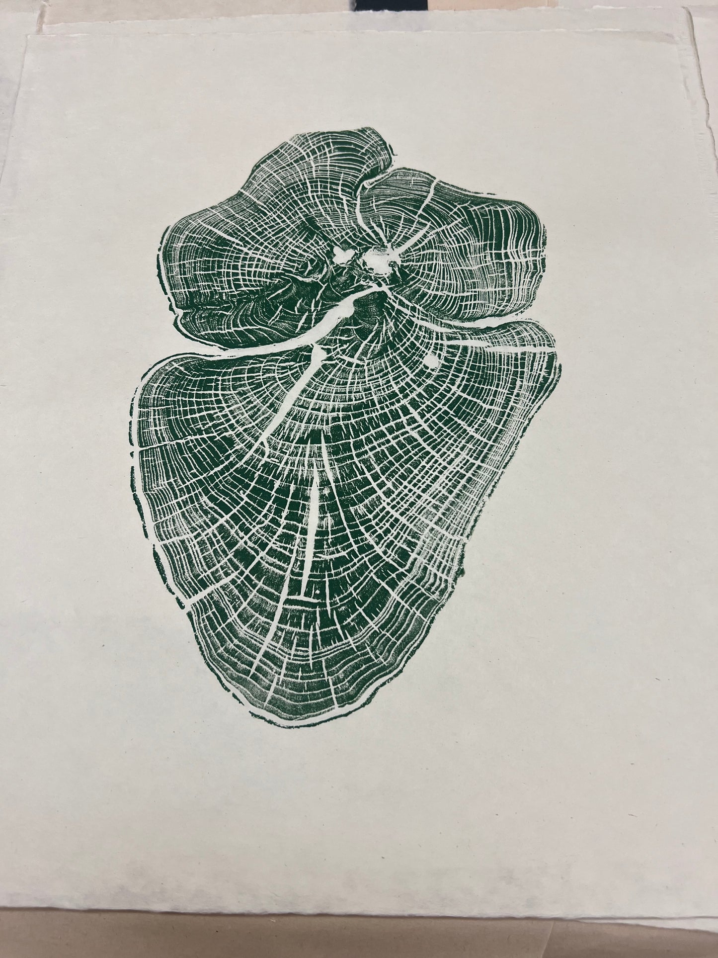 Hackberry Heart Tree Print